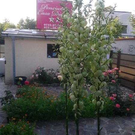 Pensiunea Casa Didina Bacau Exterior photo